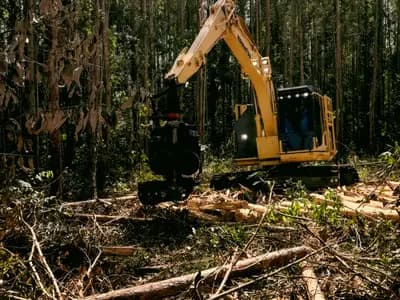 Land Clearing Services Phoenix in Phoenix